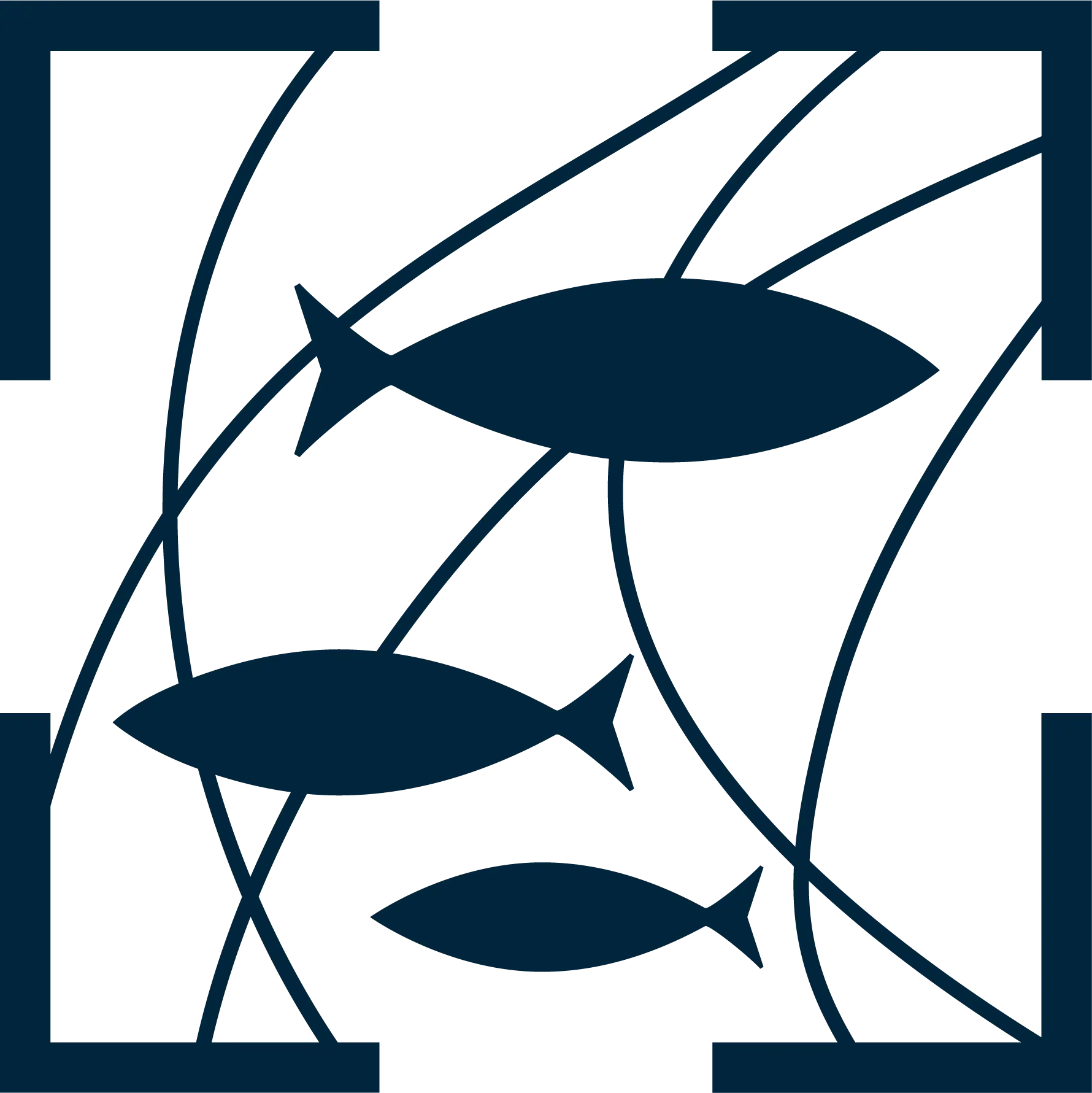 EVERYFISH_squared_positive_rgb_1